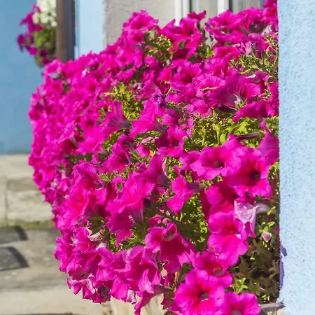 Niebieska * Jastarnia