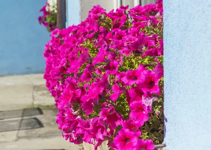 Niebieska * Jastarnia